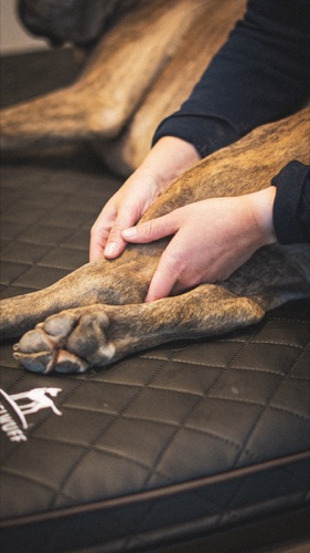 Techniques de relaxation musculaire