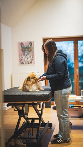 Moment de connexion avec le chien