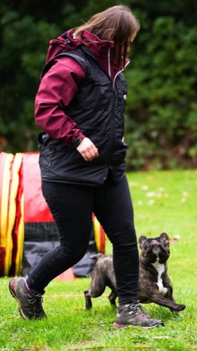 Séminaire de comportement canin