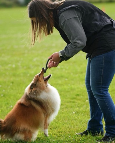 Certificat de formation ECAWBM