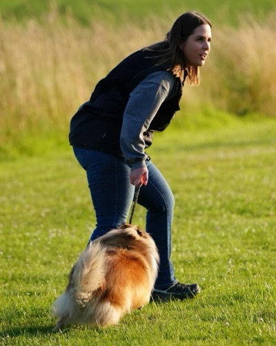 Formation pratique en massothérapie